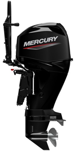 Mercury F 50 EFI